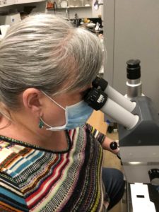 Woman looking through a microscope at a blunder trap to identify pests