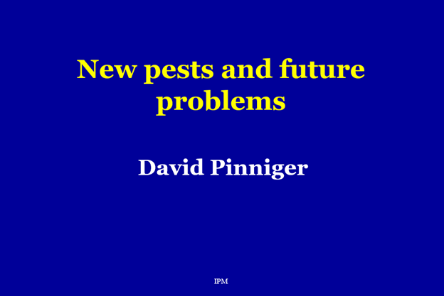 11 Pinniger cover slide A rodent glue trap with dead mice and additional insect pests
